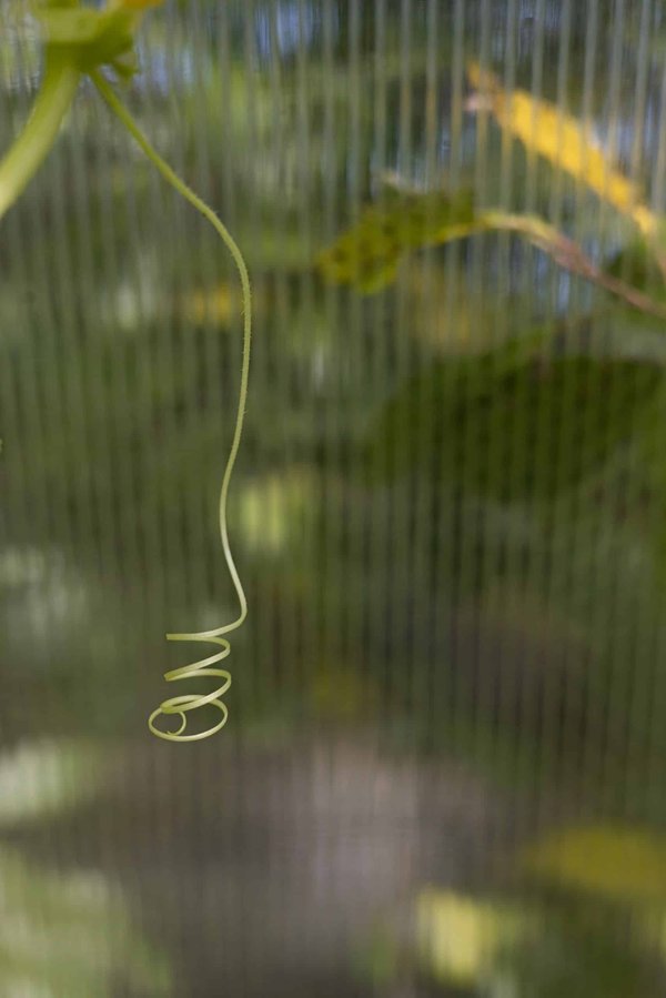 Quel est le processus de conception d'un contrôleur adaptatif pour les joueurs ayant des besoins spécifiques ?